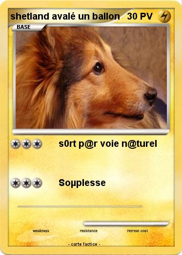 Pokemon shetland avalé un ballon
