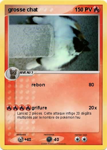 Pokemon grosse chat