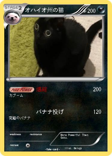 Pokemon オハイオ州の猫
