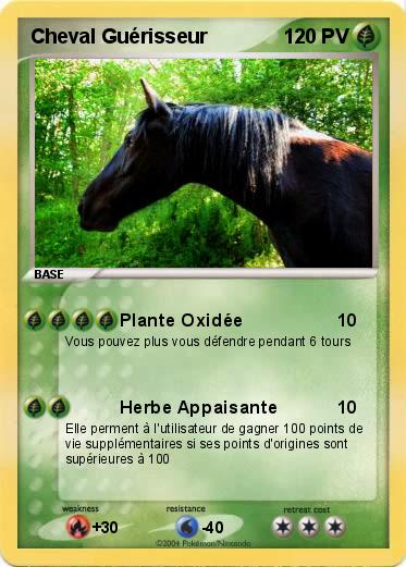 Pokemon Cheval Guérisseur