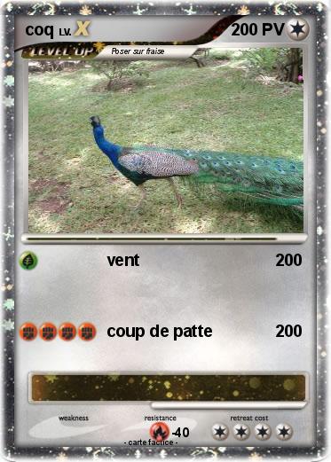 Pokemon coq