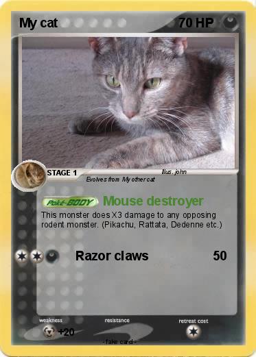 Pokemon My cat