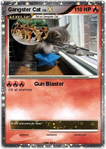 Pokemon Gangster Cat