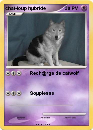 Pokemon chat-loup hµbride