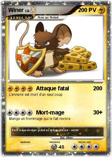 Pokemon Winer