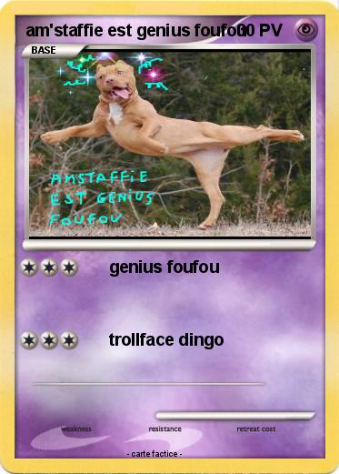 Pokemon am'staffie est genius foufou