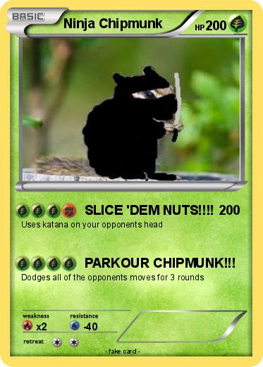 Pokemon Ninja Chipmunk