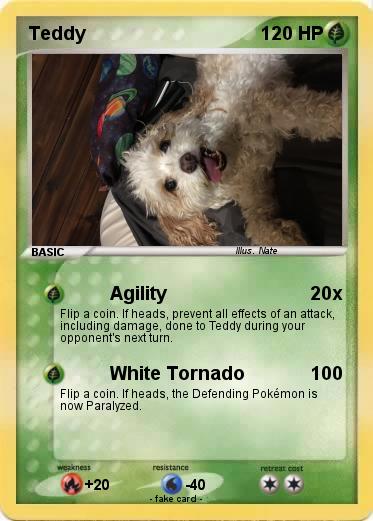 Pokemon Teddy