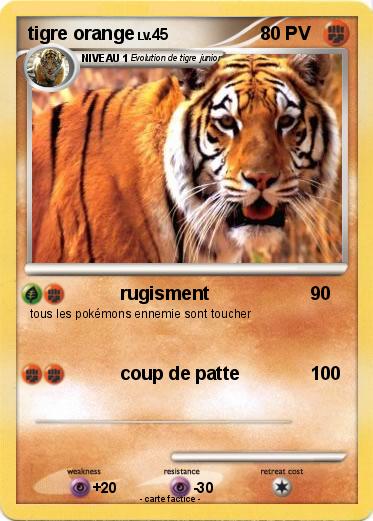 Pokemon tigre orange