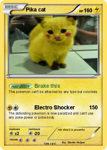 Pokemon Pika cat