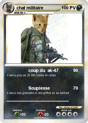 Pokemon chat militaire