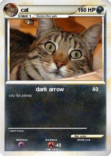Pokemon cat