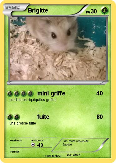 Pokemon Brigitte
