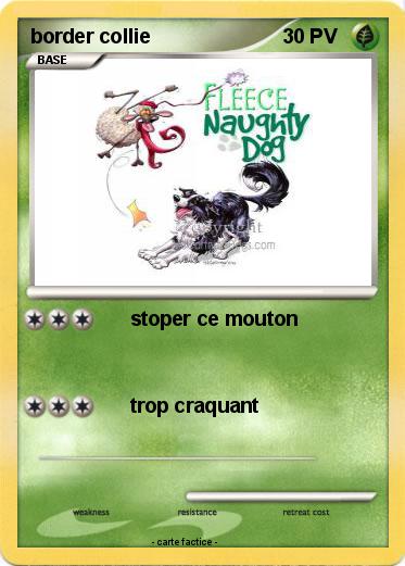 Pokemon border collie