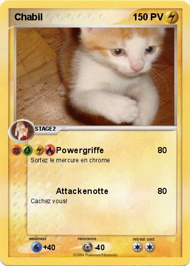 Pokemon Chabil