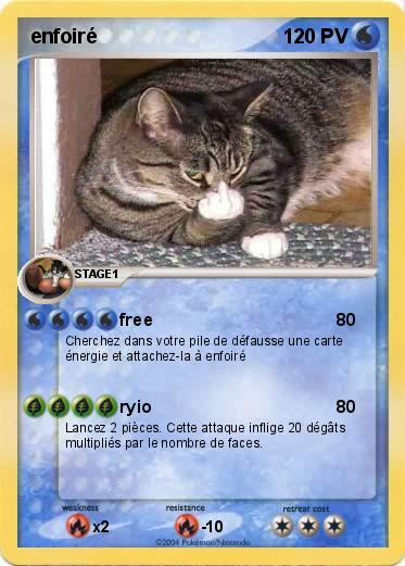 Pokemon enfoiré