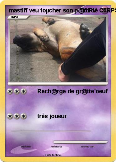 Pokemon mastiff veu toµcher son p@rti de C0RPS