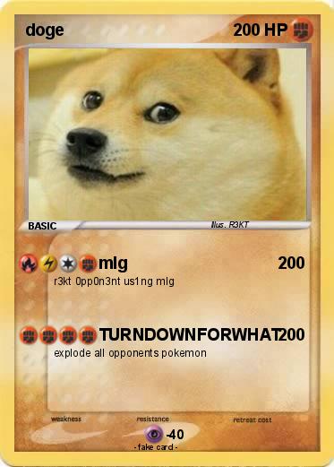 Pokemon doge