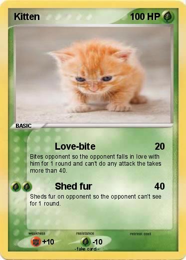 Pokemon Kitten