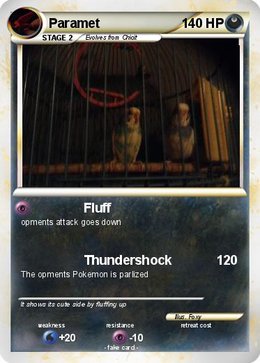 Pokemon Paramet