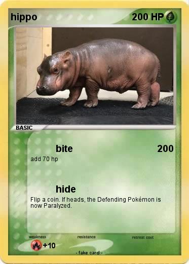 Pokemon hippo