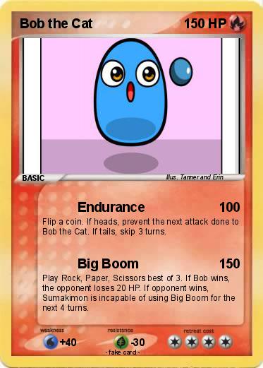 Pokemon Bob the Cat