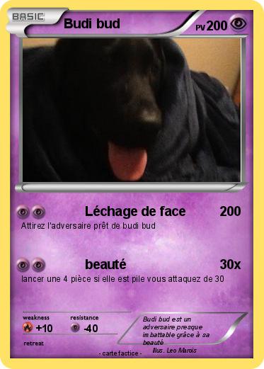 Pokemon Budi bud
