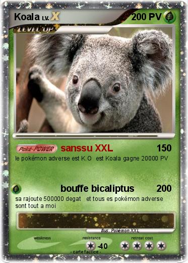 Pokemon Koala