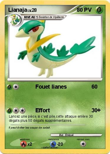 Pokemon Lianaja