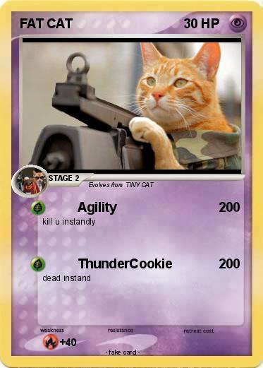Pokemon FAT CAT