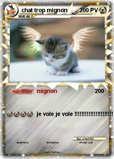 Pokemon chat trop mignon