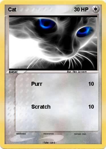 Pokemon Cat