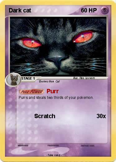 Pokemon Dark cat