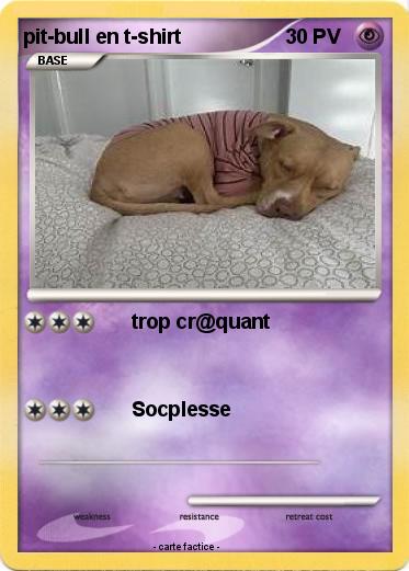 Pokemon pit-bull en t-shirt