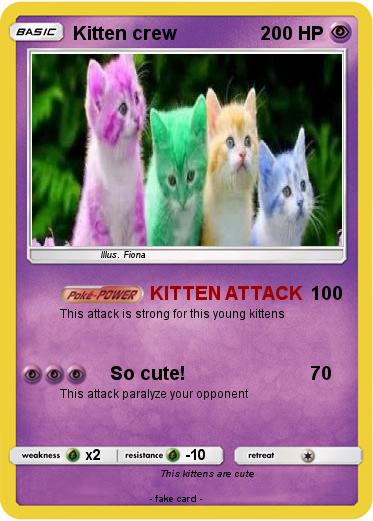 Pokemon Kitten crew
