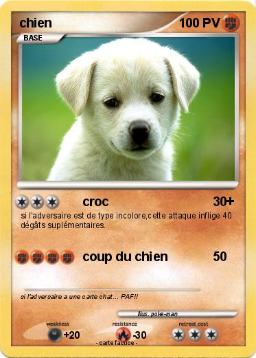 Pokemon chien