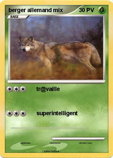 Pokemon berger allemand mix