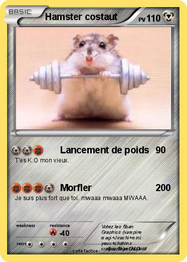 Pokemon Hamster costaut