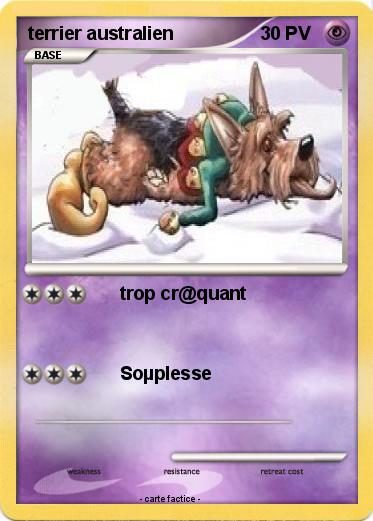 Pokemon terrier australien