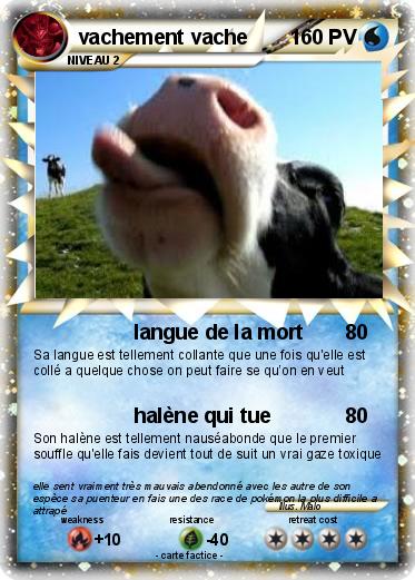 Pokemon vachement vache