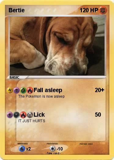 Pokemon Bertie