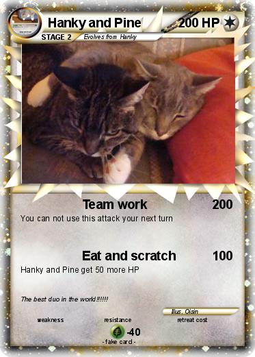 Pokemon Hanky and Pine