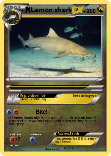 Pokemon Lemon shark