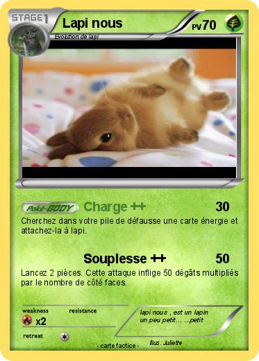 Pokemon Lapi nous