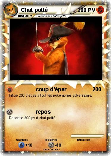 Pokemon Chat potté