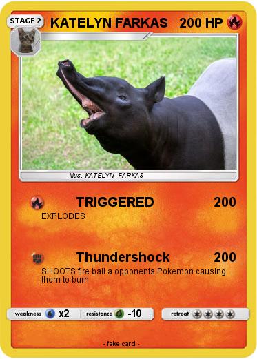 Pokemon KATELYN FARKAS