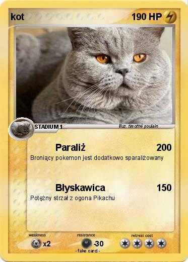 Pokemon kot