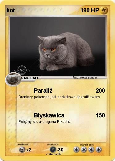 Pokemon kot