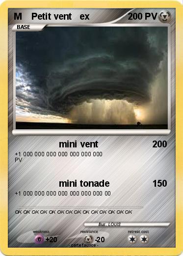 Pokemon M    Petit vent   ex