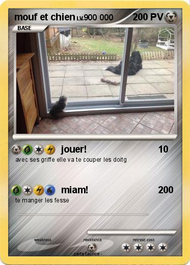 Pokemon mouf et chien